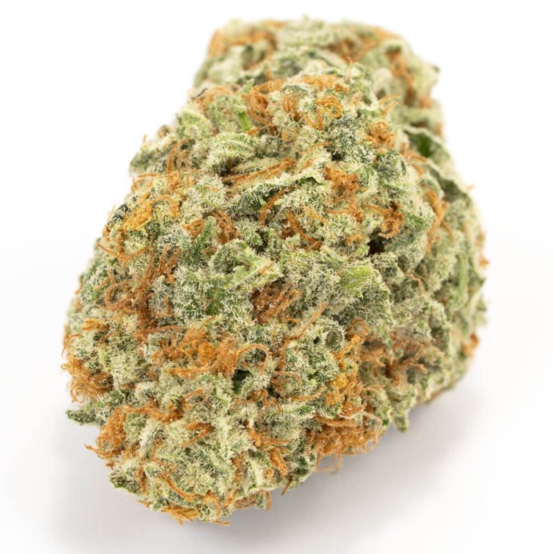 Bruce Banner Hybrid