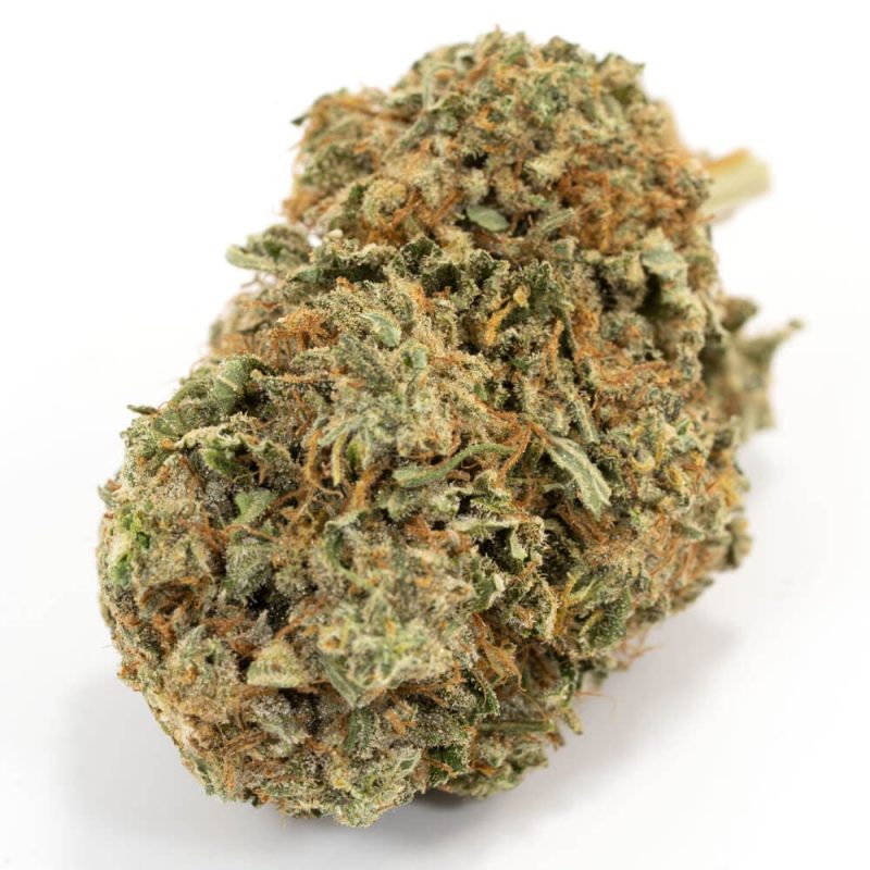 Jack Diesel Sativa