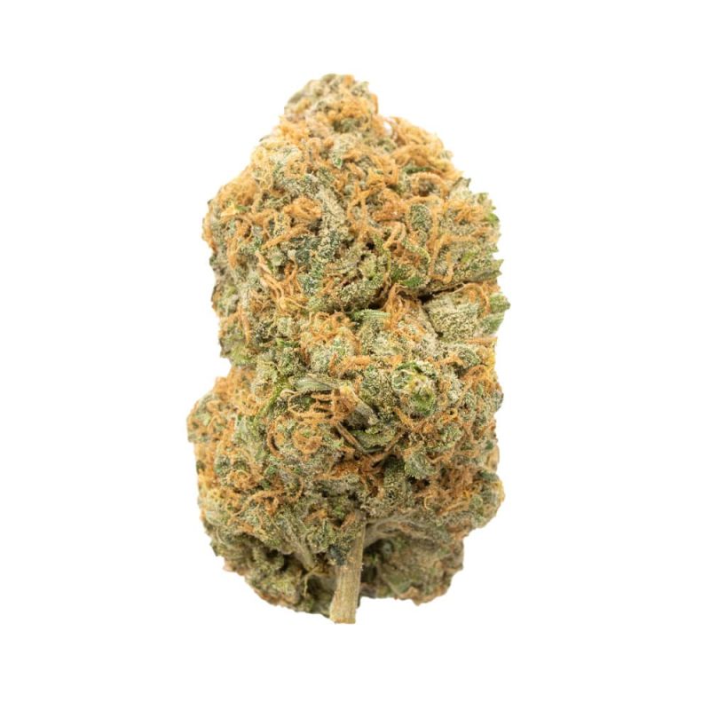 Lamb’s Bread Sativa